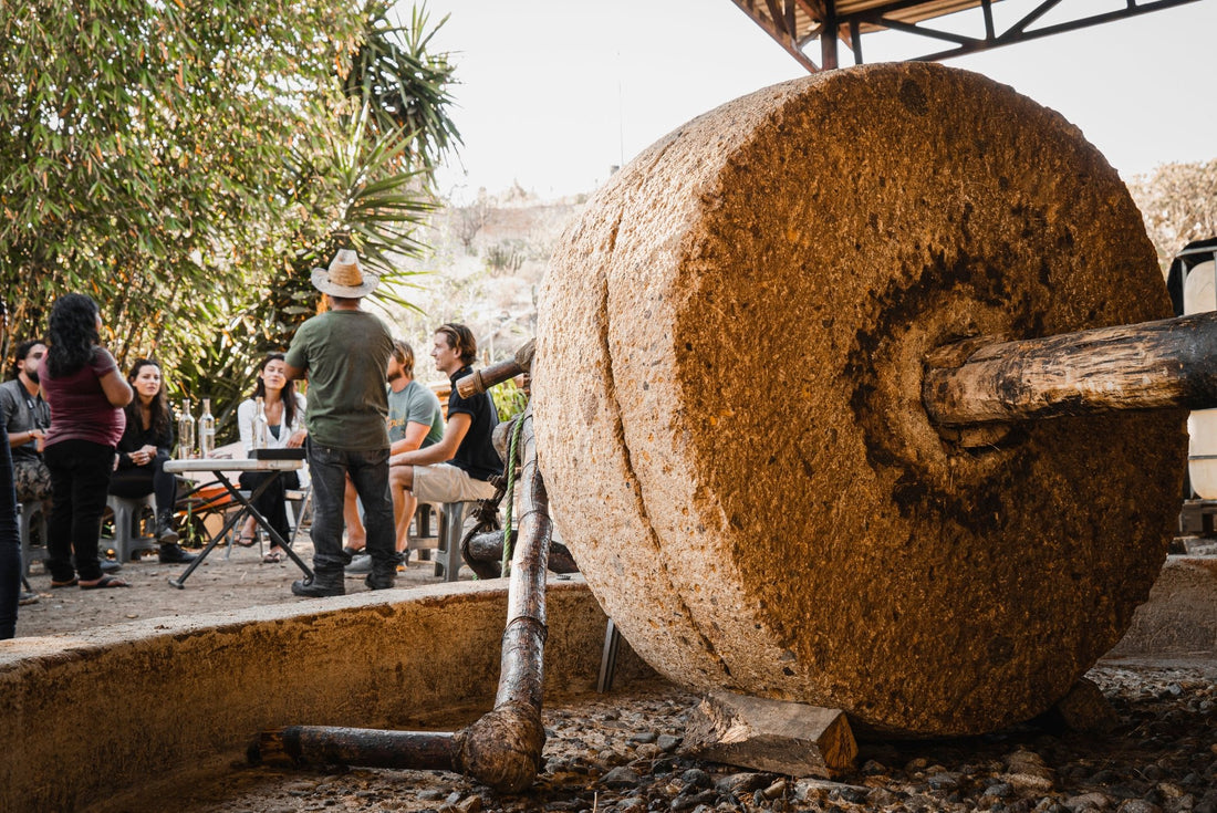 “I Don’t Like Smokey Mezcal”: Why is Mezcal Smokey?